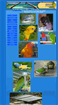 Mobile Screenshot of hawaiiparrot.com